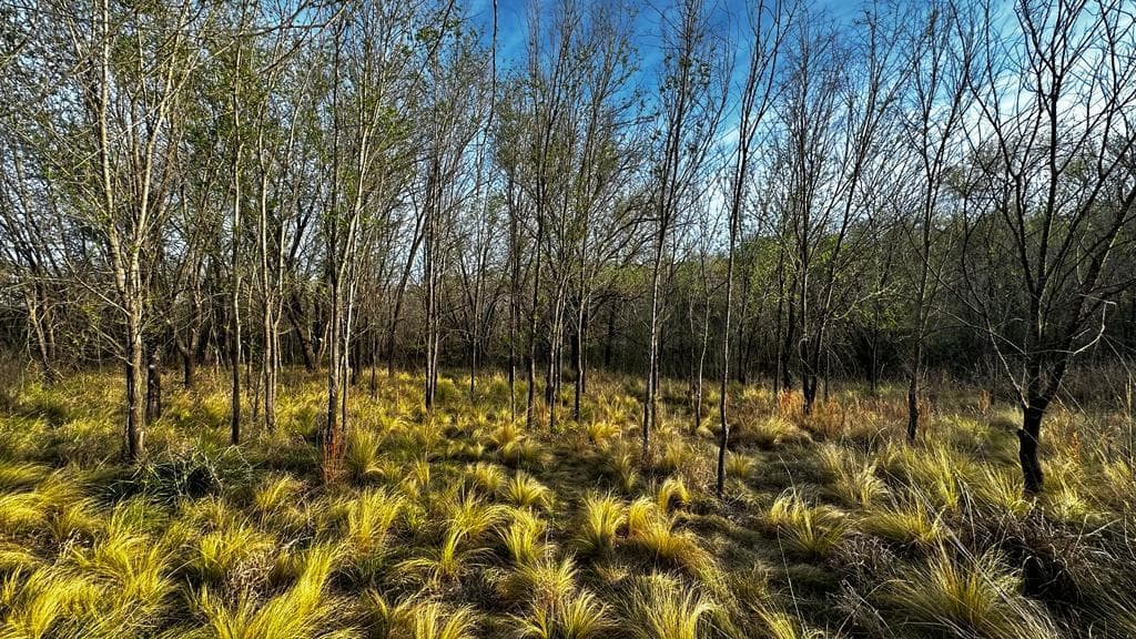 Terreno a Minutos del lago San Roque