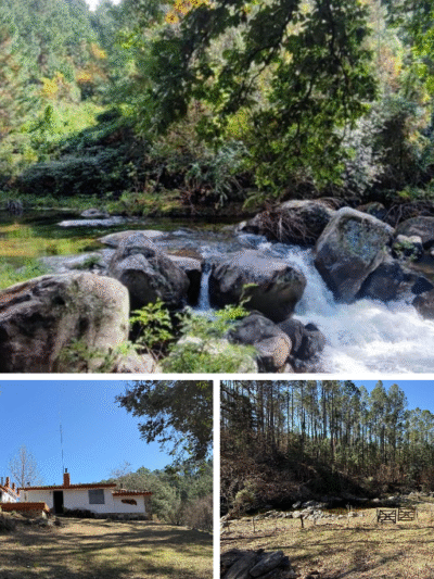 Terrenos