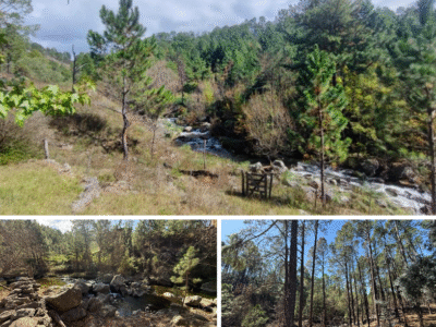 Campo en Venta - El Durazno, Córdoba